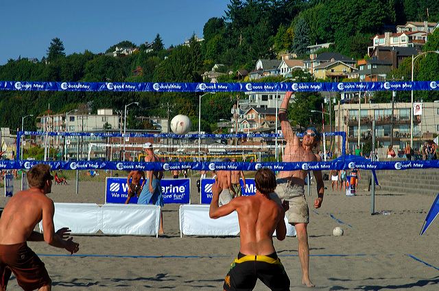 img7977.jpg